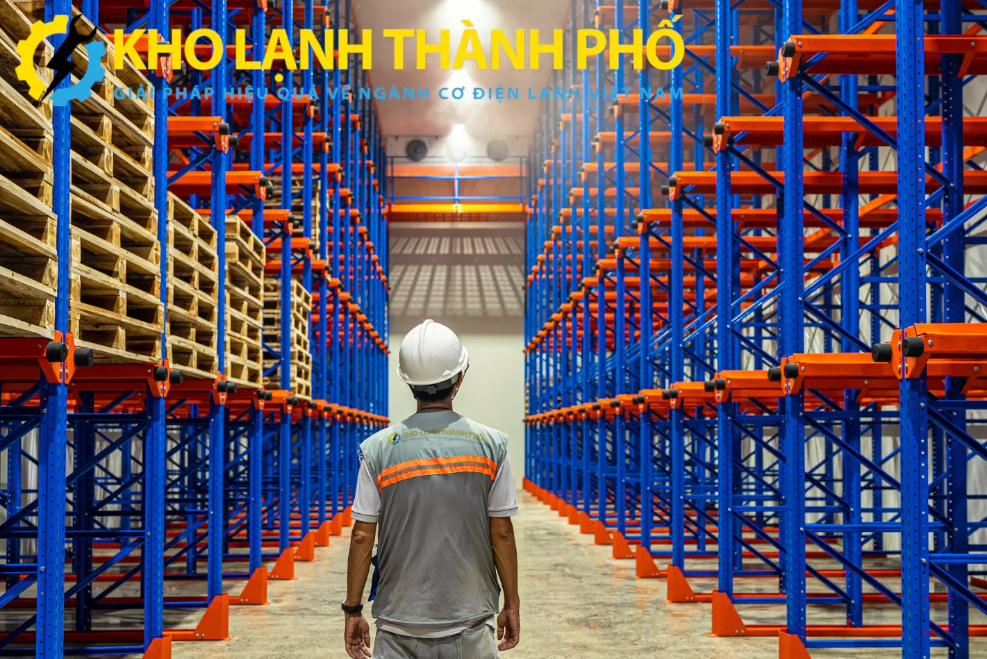 kho-lanh-ca-mau.webp