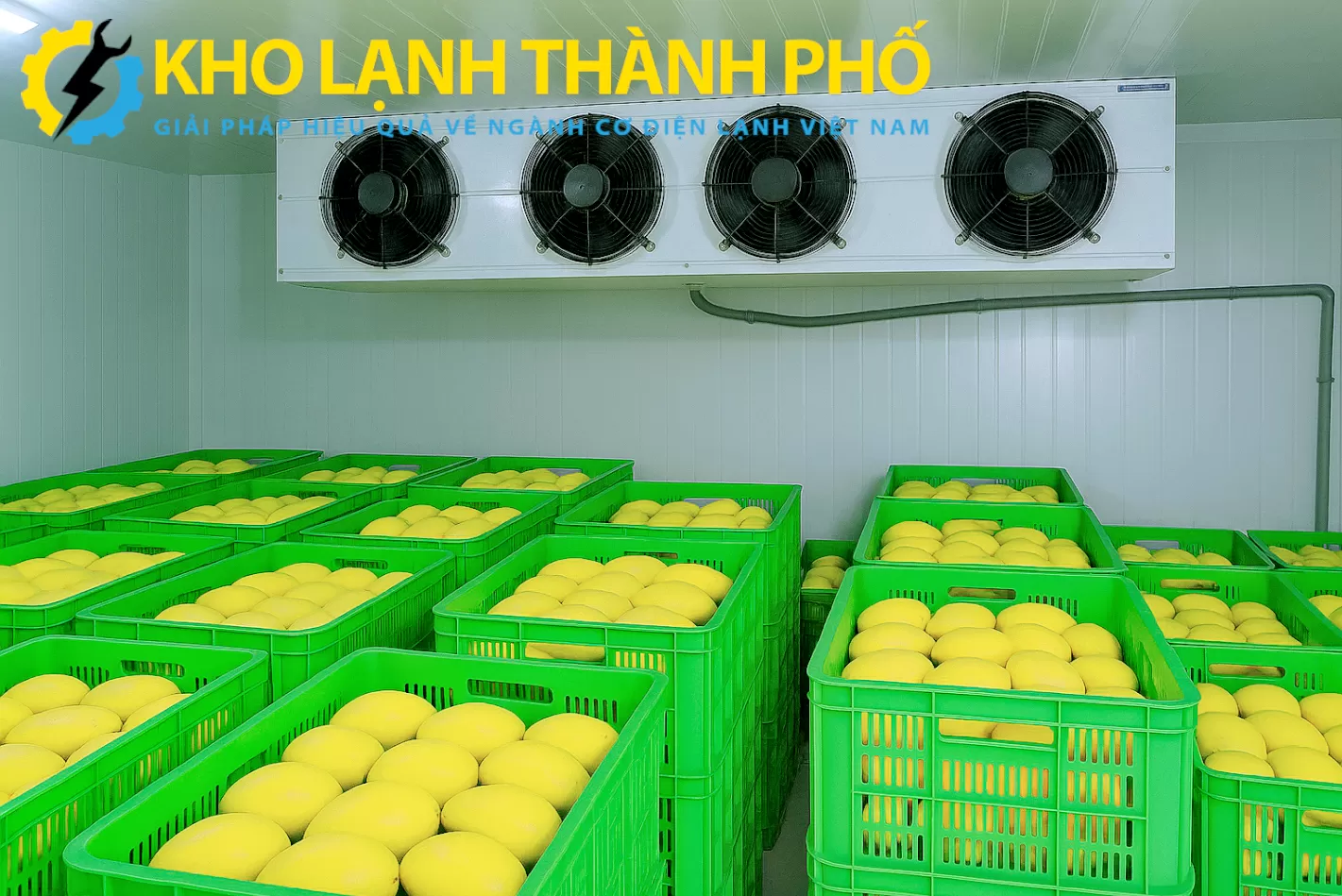 Kho ủ xoài