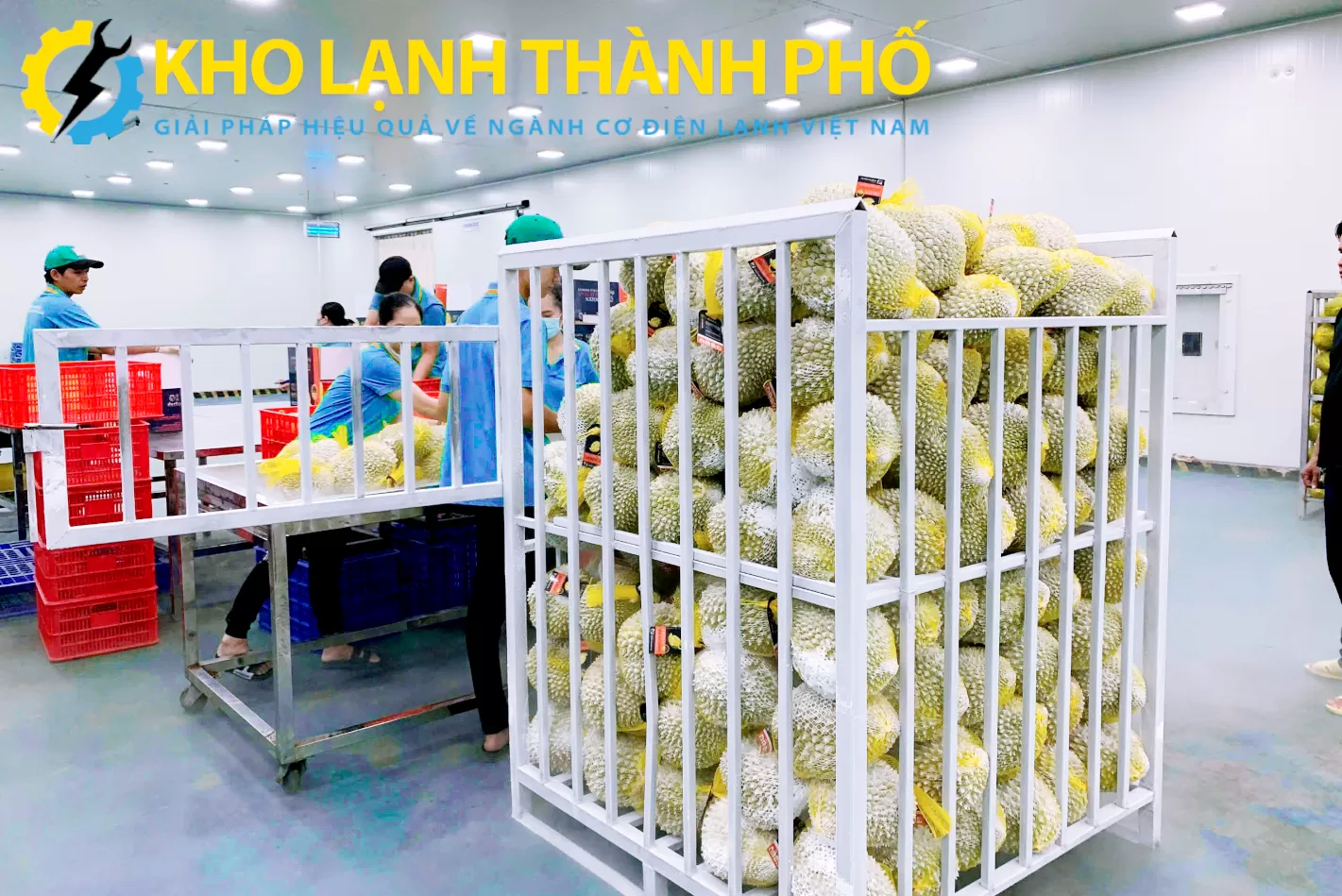 Hình ảnh sầu riêng sau khi được cấp đông