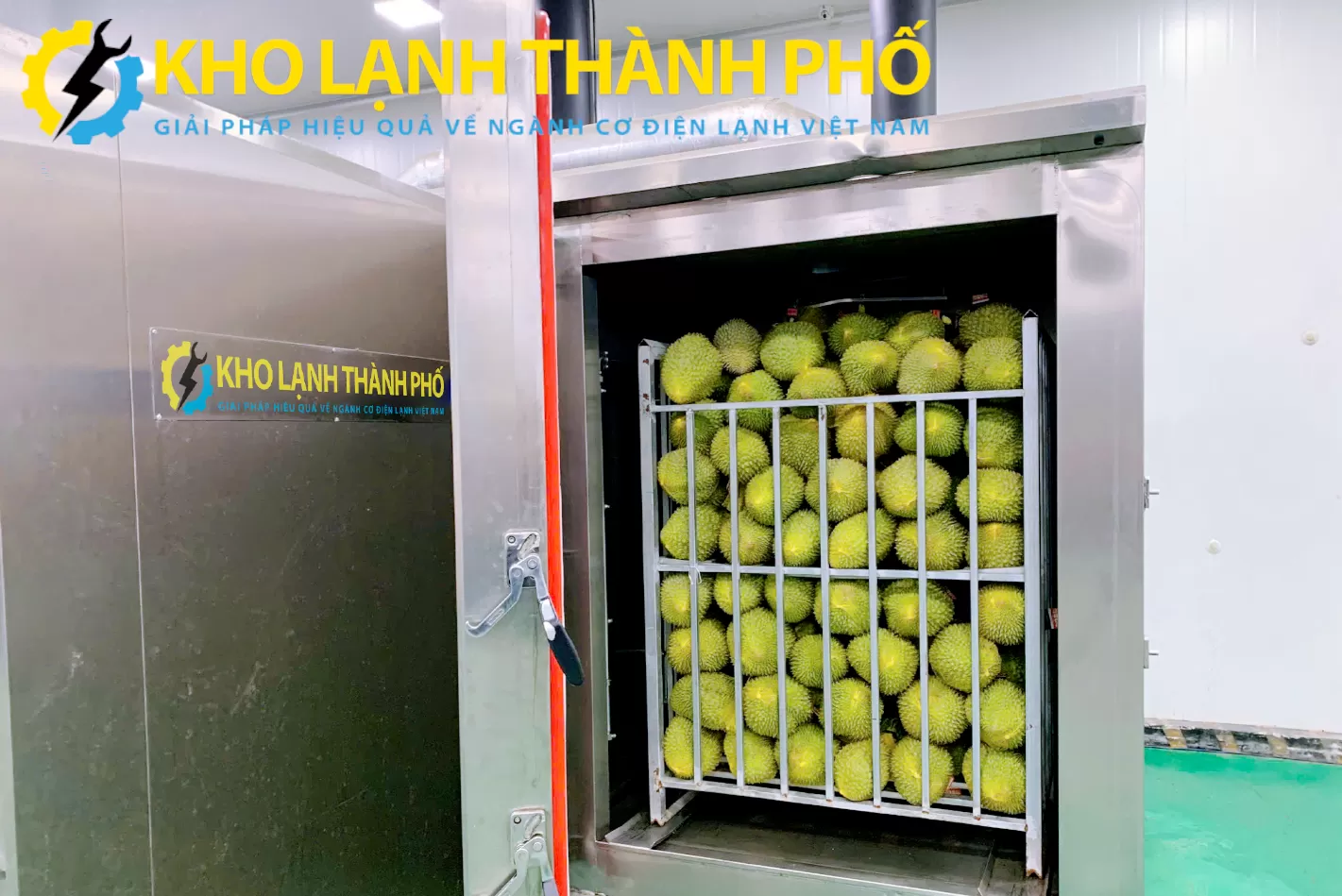 Tủ đông ni tơ lỏng