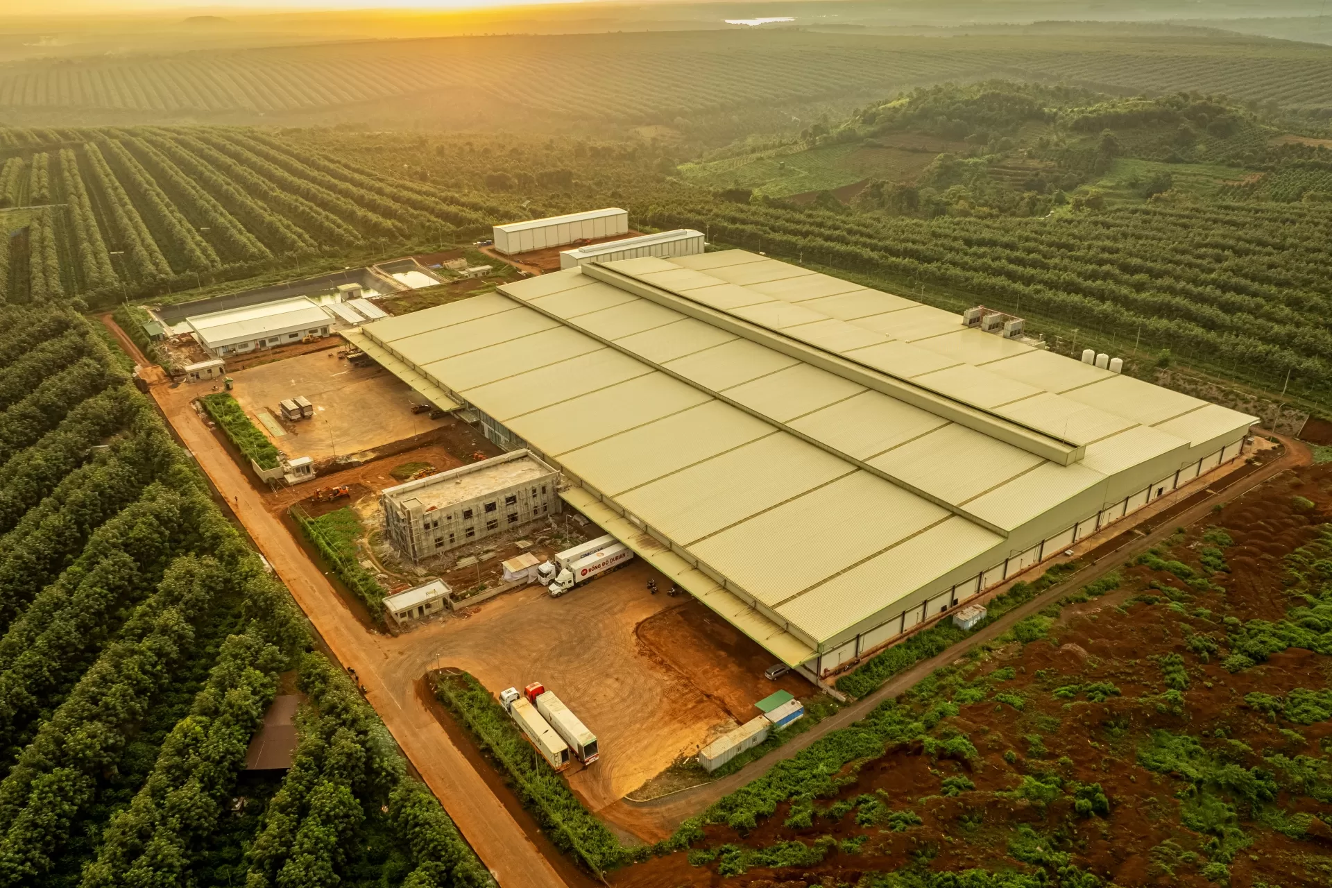 Nhà máy chế biến trái cây xuất khẩu Chánh Thu Đắk Lắk