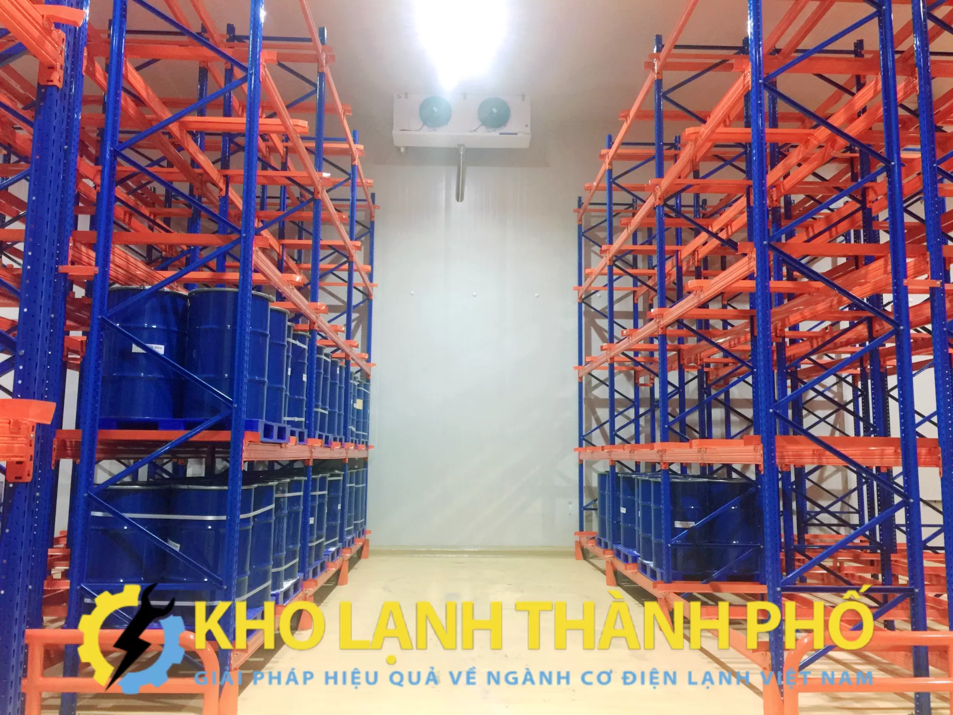 Kho lạnh bảo quản dừa xiêm tại Bến Tre