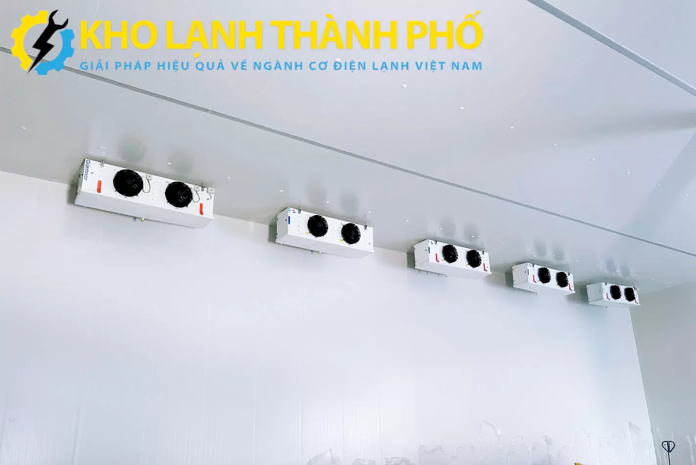 Kho lạnh trữ xoài tại Tiền Giang đạt chuẩn xuất khẩu