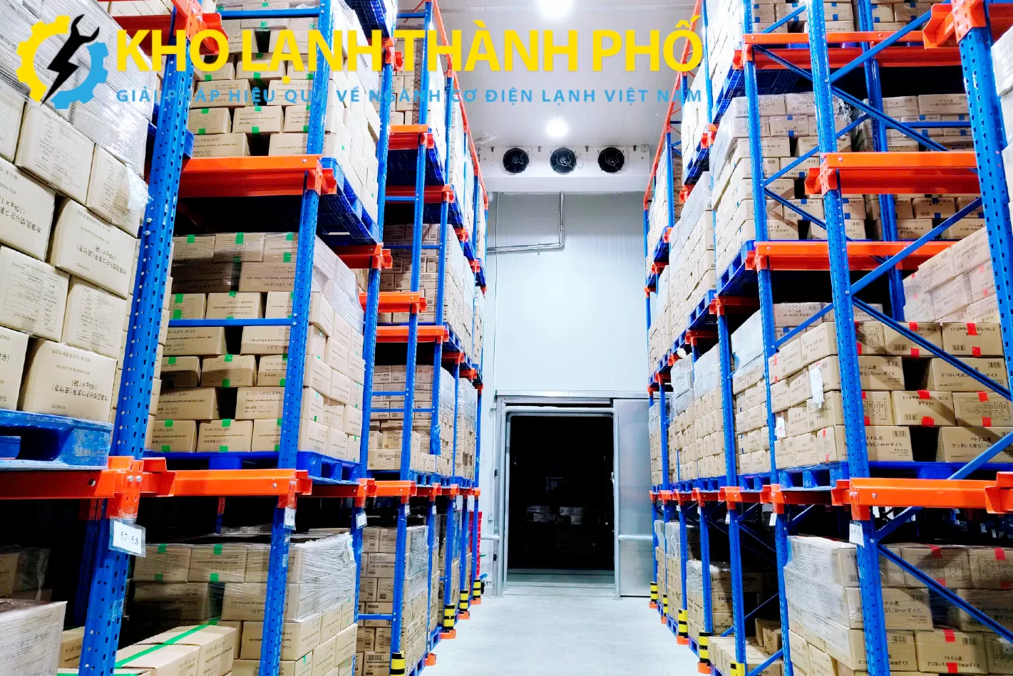 Kho lạnh logistics