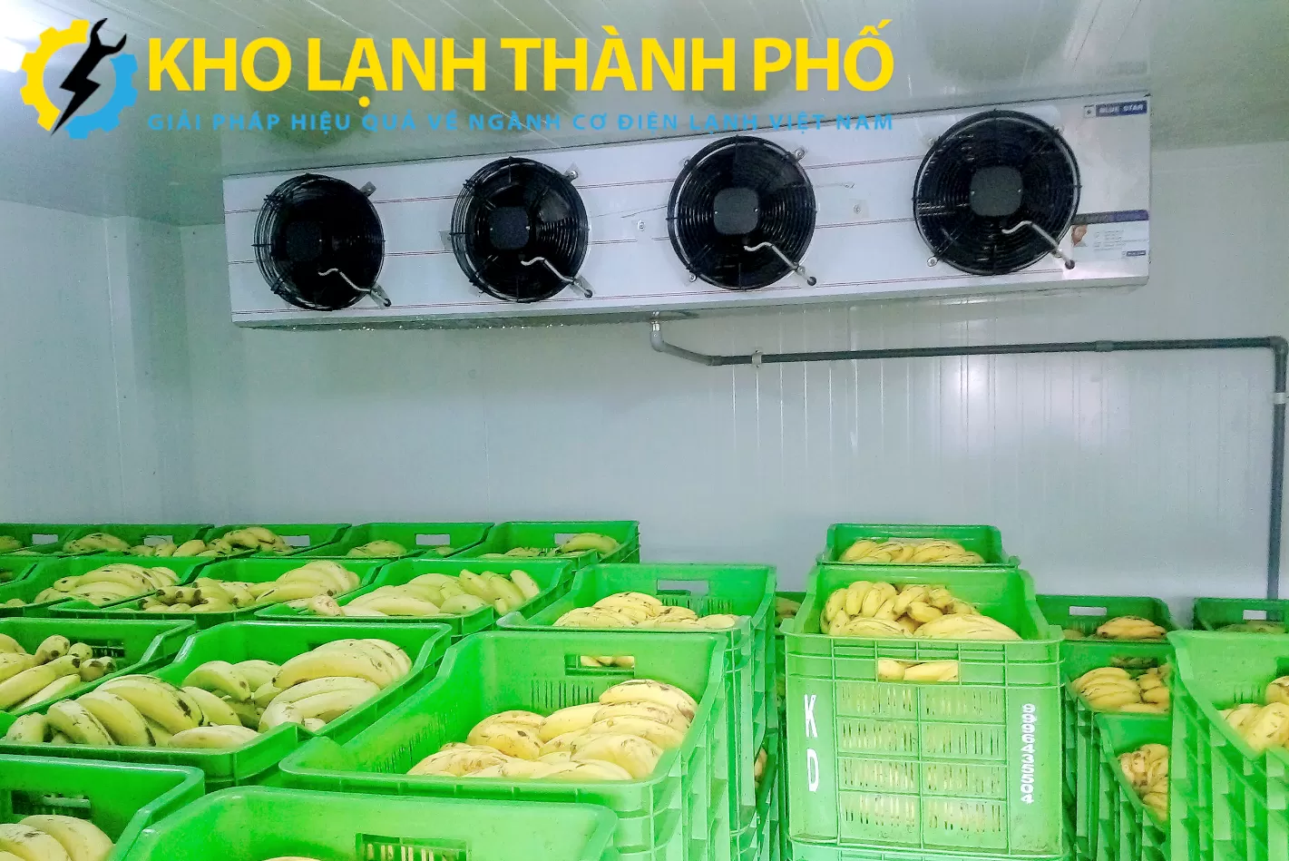 Kho ủ chuối