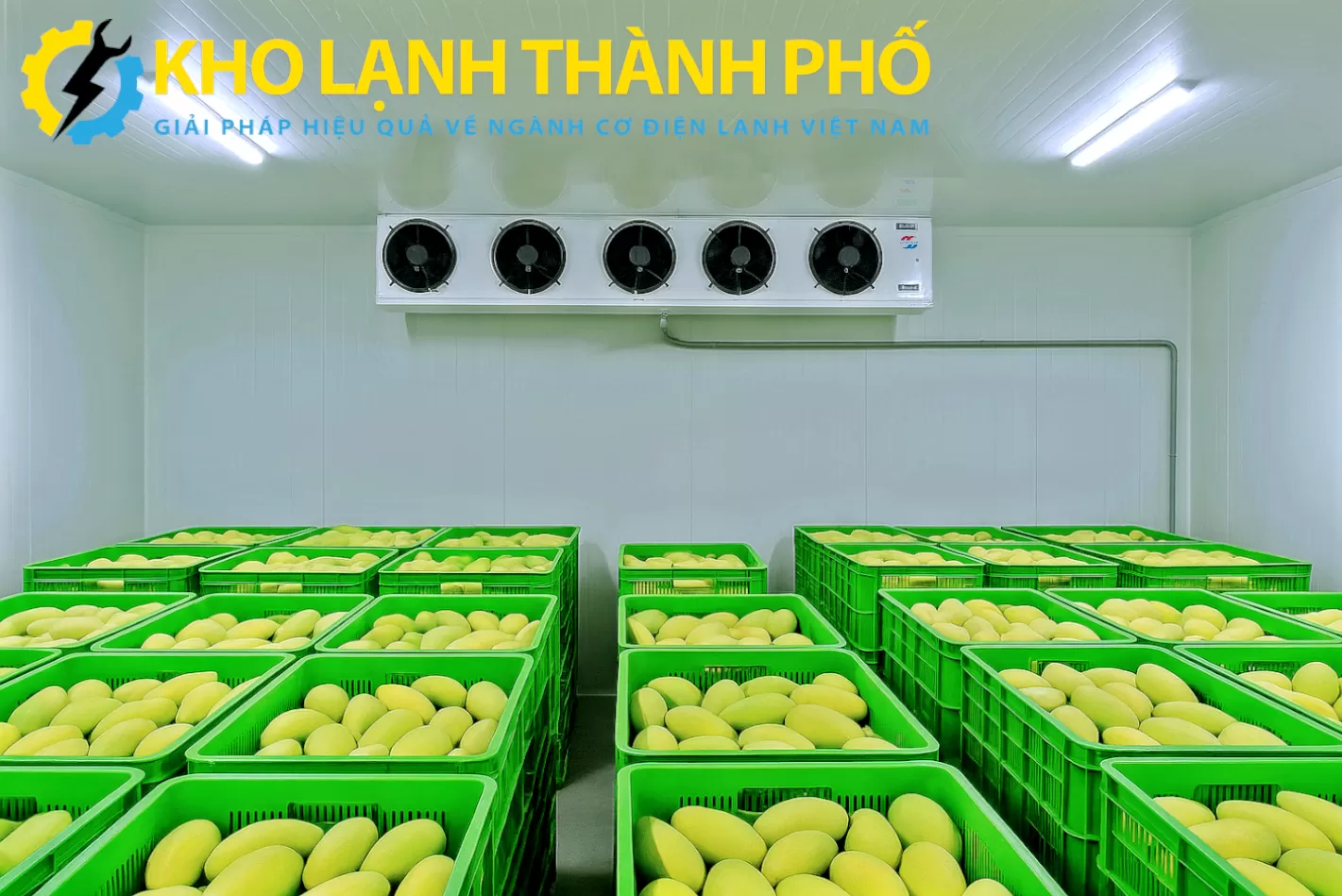 Kho ủ xoài