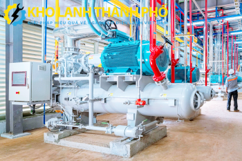 CỤM MÁY NÉN DÀN NGƯNG