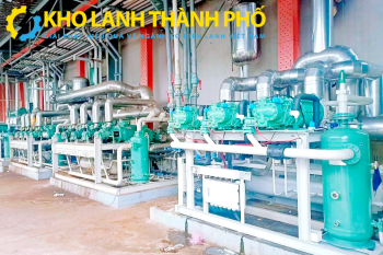 Cụm máy nén bình ngưng 250HP