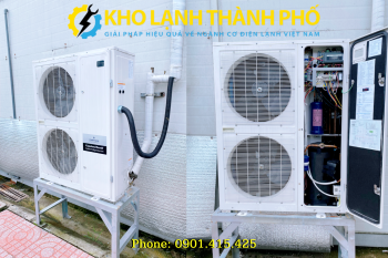 Cụm máy nén dàn ngưng Emerson ZXL075BE