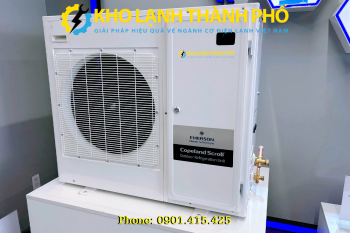 Cụm máy nén dàn ngưng Emerson ZXL040BE