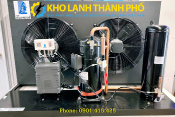 Catalogue Cụm máy nén dàn ngưng Tecumseh 2025