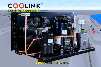 Cụm máy nén dàn ngưng Tecumseh EPL2552Z-XG-3