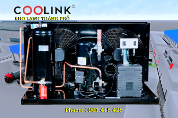 Cụm máy nén dàn ngưng Tecumseh EPH4573Z